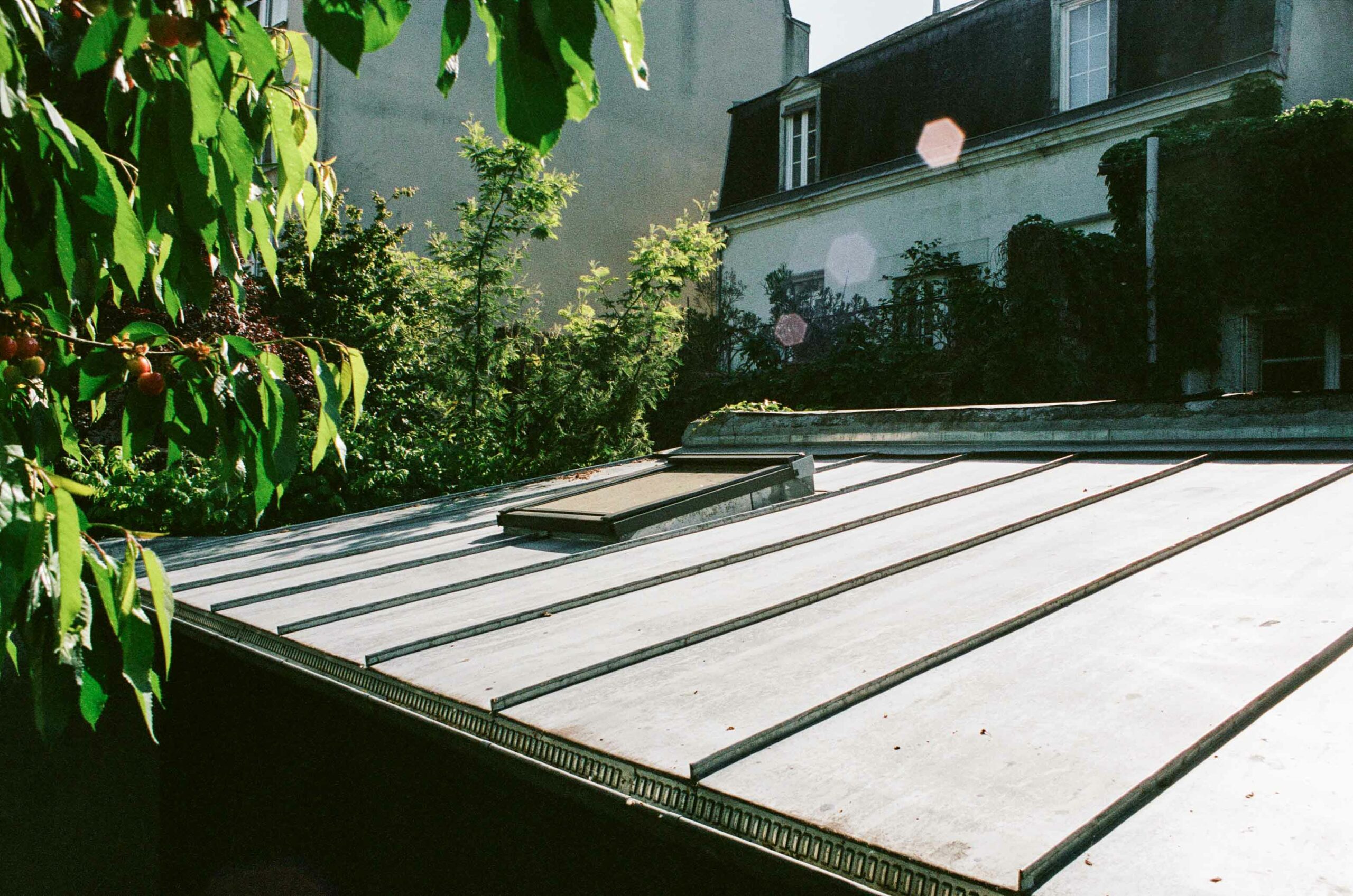 YAKISUGI, Tours, Touraine — vue 5